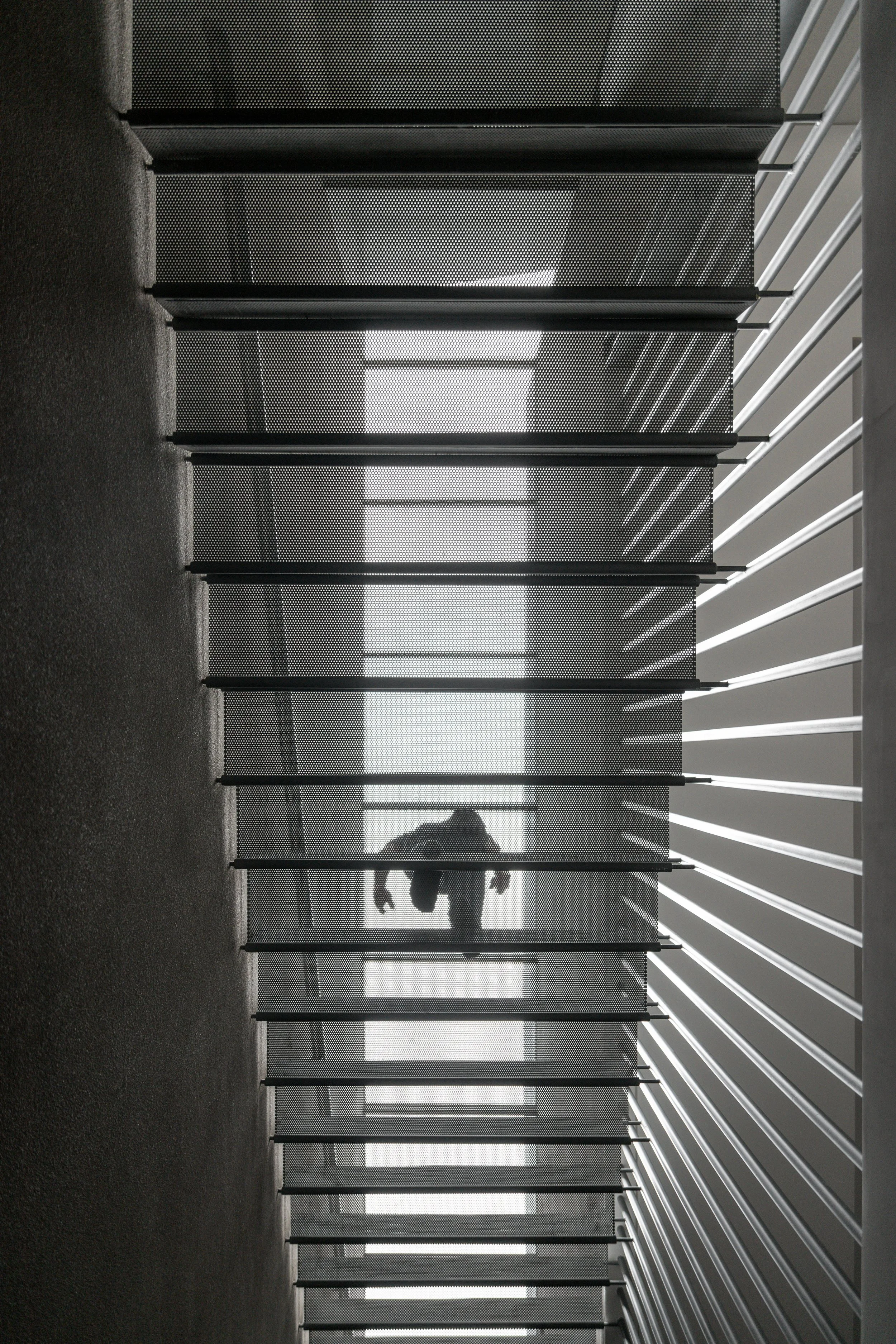 WF Residence Final-10.jpg