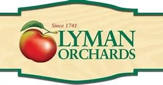 Strawberry Festival CANCELLED DUE TO RAIN