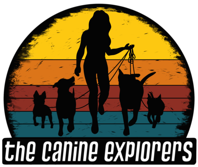 The Canine Explorers