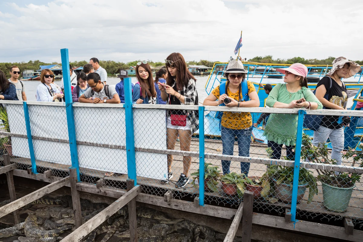 Nov. 20, 2016 - Chong Kneas, Cambodia. Tourists visit a floating crocodile farm. Tours are organised from Siem Reap for people interested in visiting the floating villages on the Tonle Sap lake. © Nicolas Axelrod / Ruom