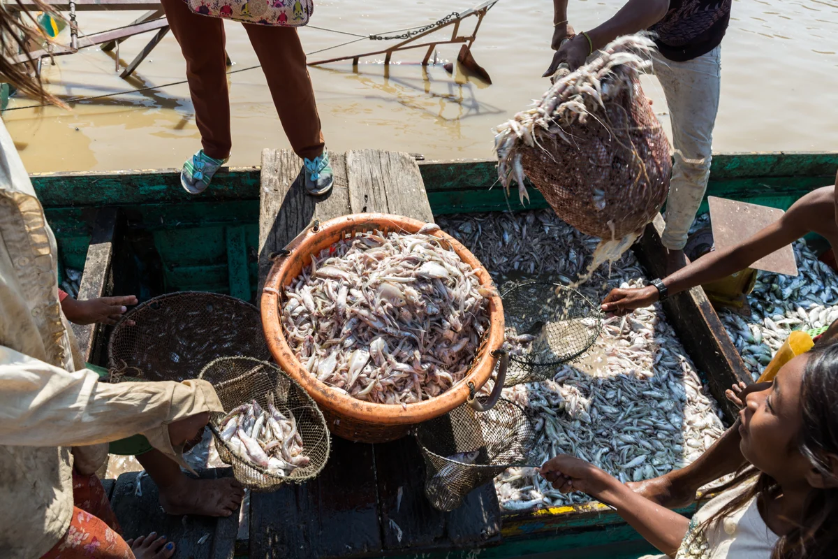 March 28, 2017 - Kampong Kleang, Cambodia. Small fish are sold at a floating fish market. © Nicolas Axelrod / Ruom