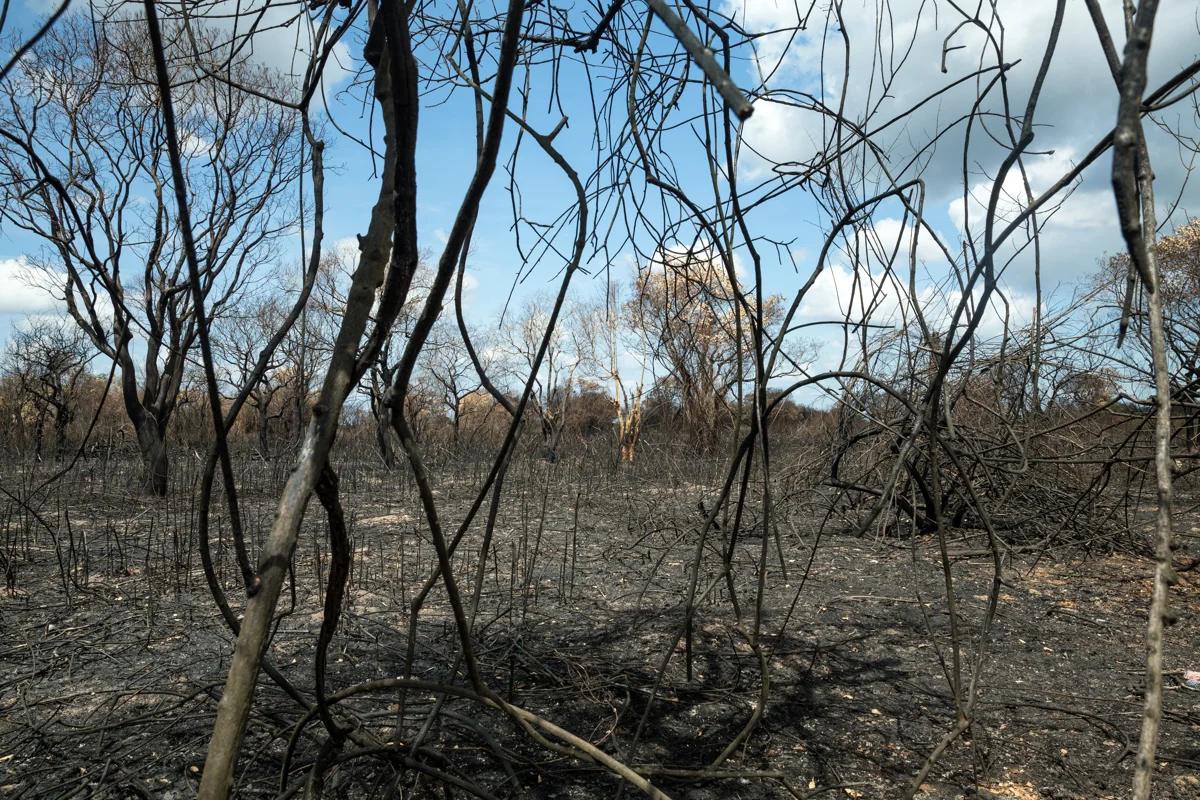 May 24, 2016 - Prek Toal, Cambodia. In the dry season of 2016, large fires ravaged forests around the Tonle Sap lake - opening new fishing grounds and destroy an already fragile habitat for fish and wildlife. © Nicolas Axelrod / Ruom