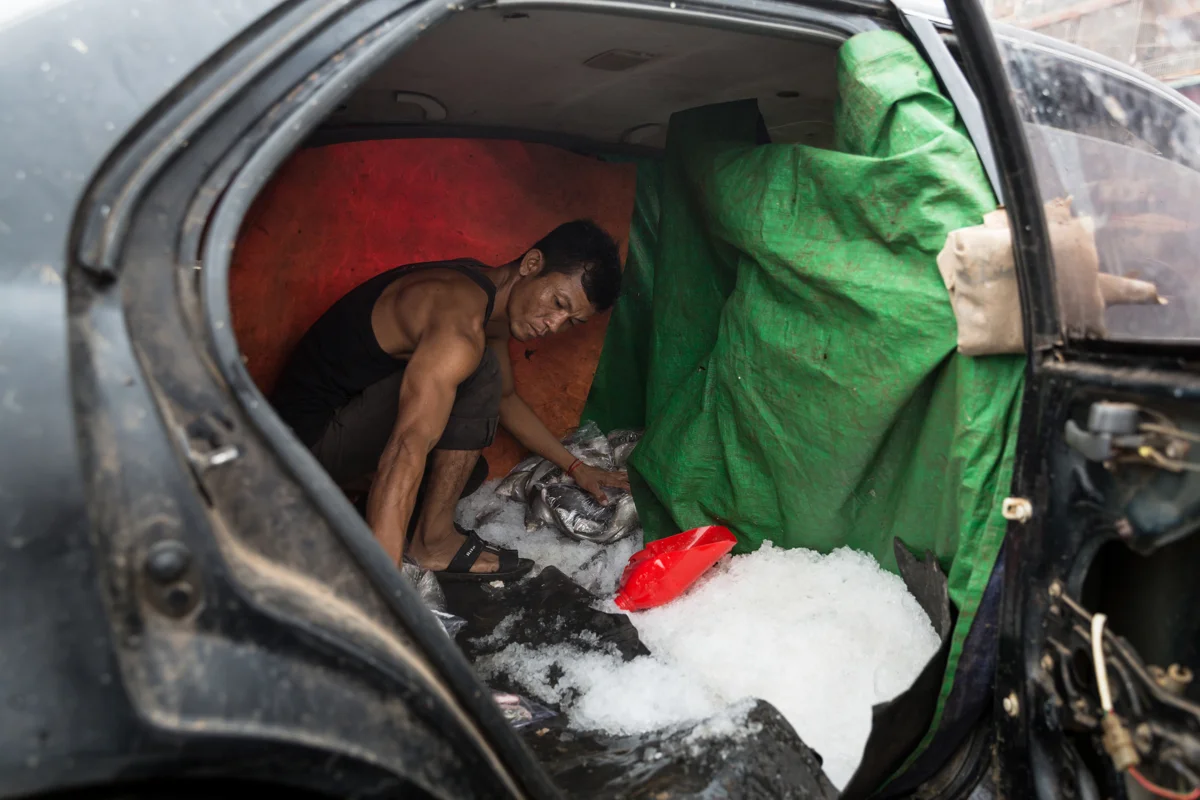 April 01, 2017 - Kampong Chhnang, Cambodia. A car is used as a mobile fridge for fish transportation. © Nicolas Axelrod / Ruom