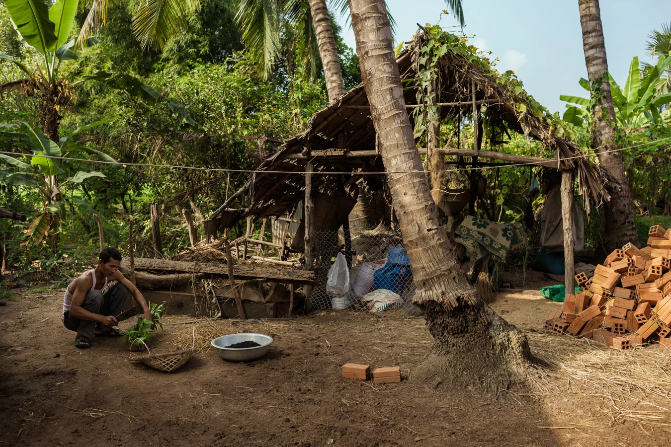 Cambodian Millenium Development Goals