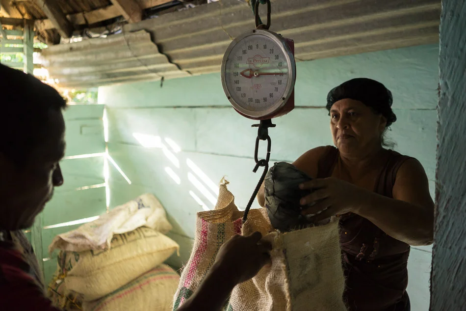 COLOMBIA - From coca to cacao