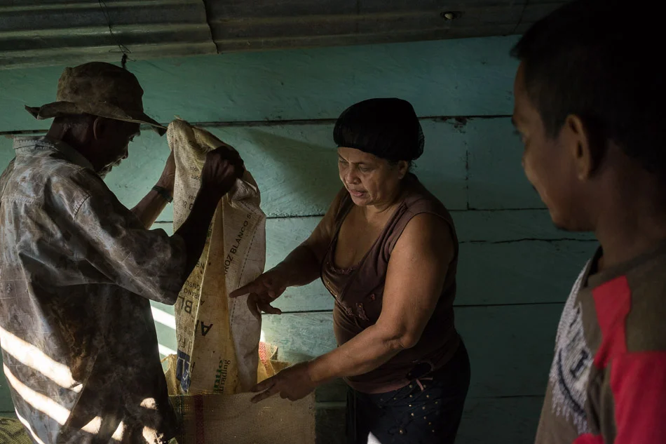 COLOMBIA - From coca to cacao