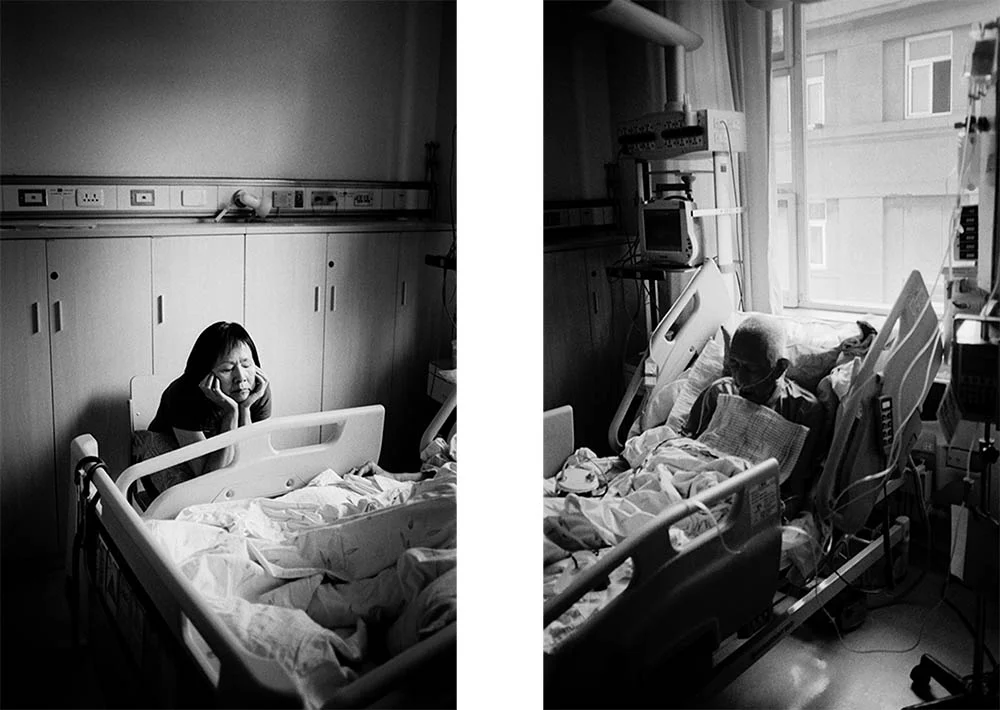 © Sheila Zhao
