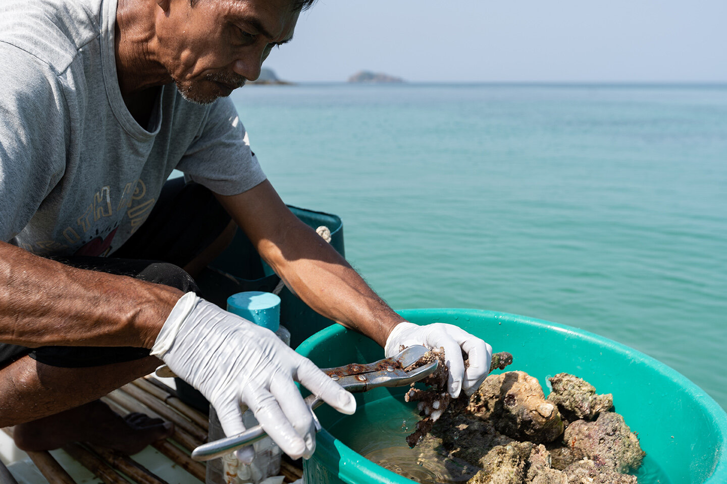  Feb 02, 2020 - Kyun Pila, Myanmar. Anuar Abdullah cuts a piece of coral during the coral propagation process. © Nicolas Axelrod / Ruom 