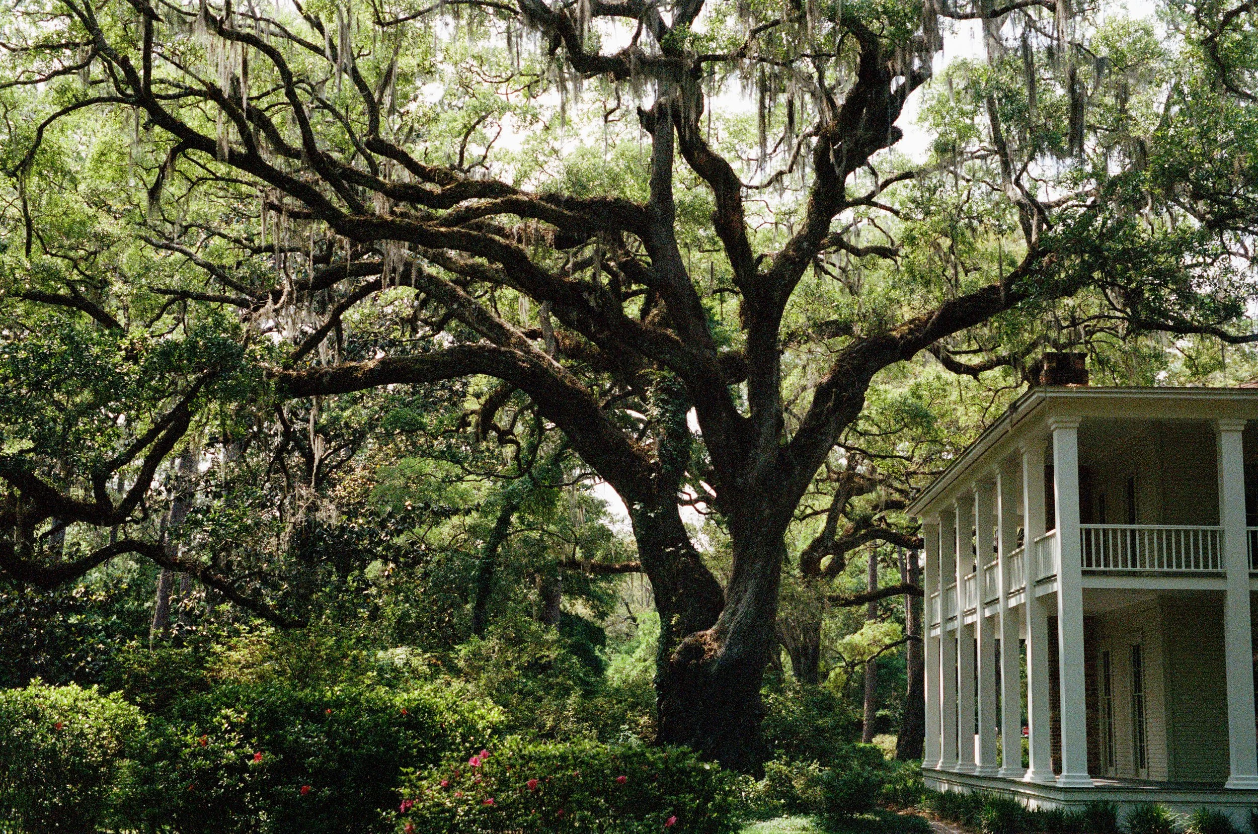 30A_8.jpg