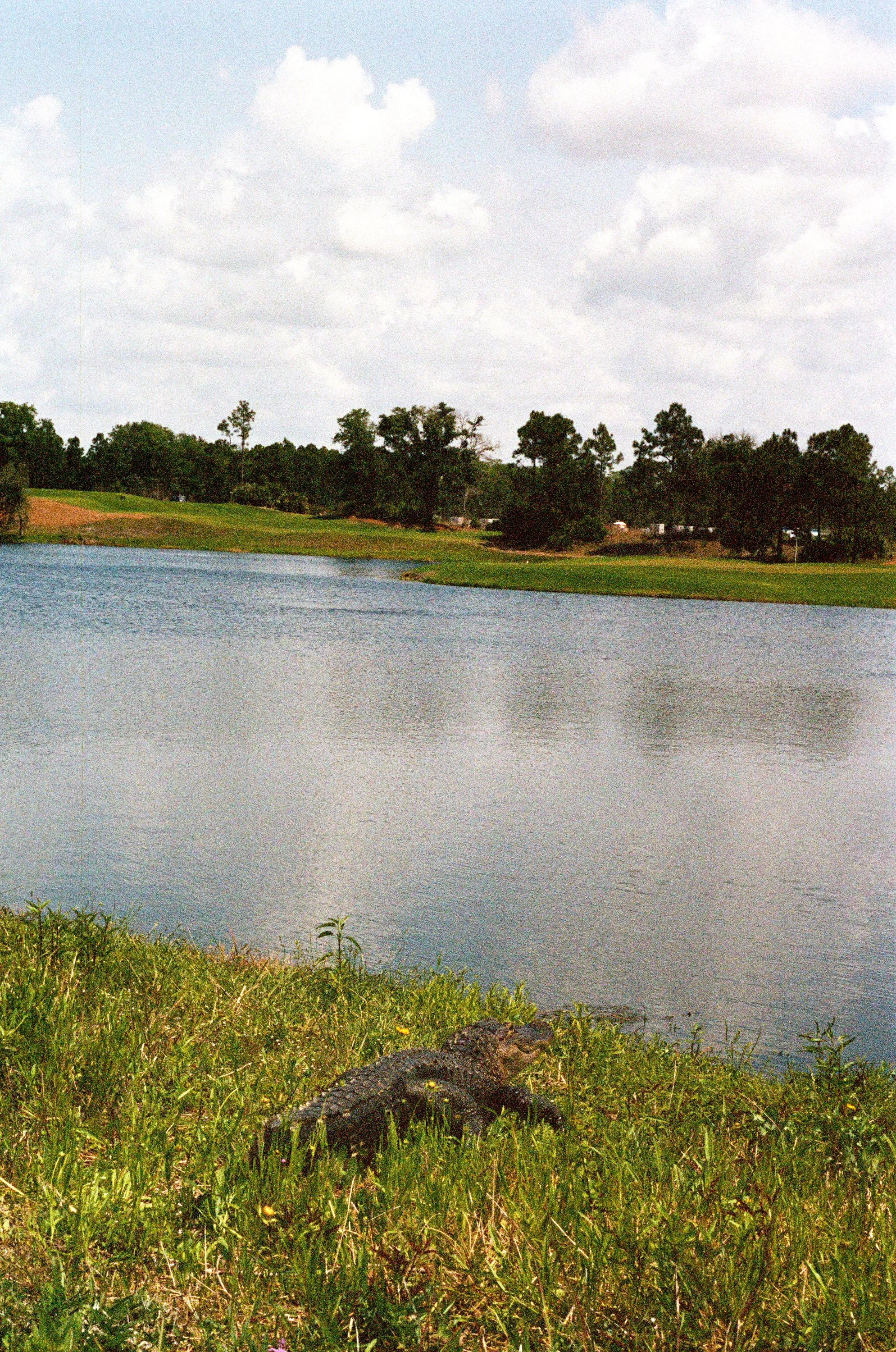 30A_12.jpg