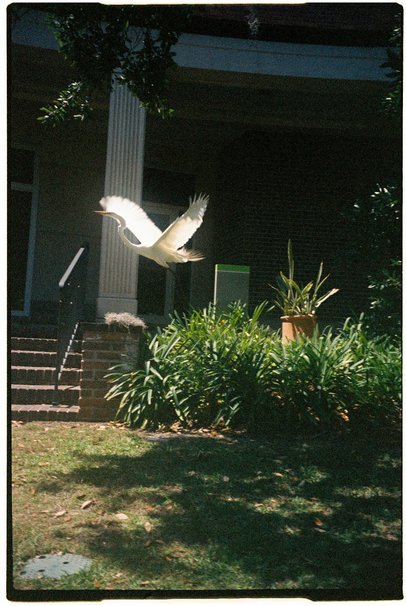 kodak_400_c_41_42566_136055_303315_R1-00663-0024.jpg
