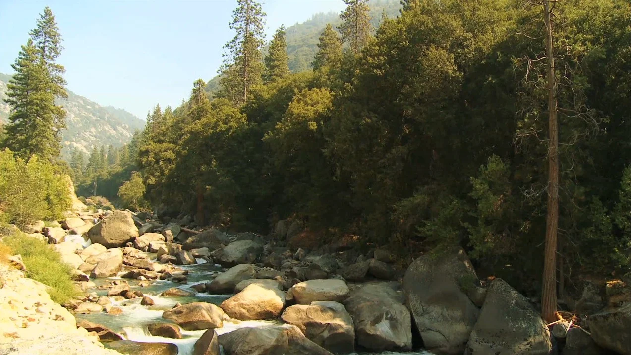 Sequoia-and-Kings-Canyon-National-Parks-008730f_T3382u_c.jpg