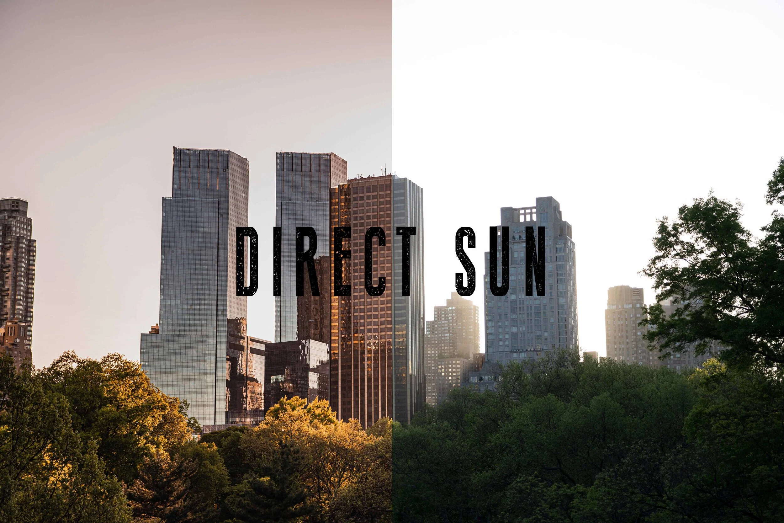 NEW YORK_Direkt Sun Text.jpg