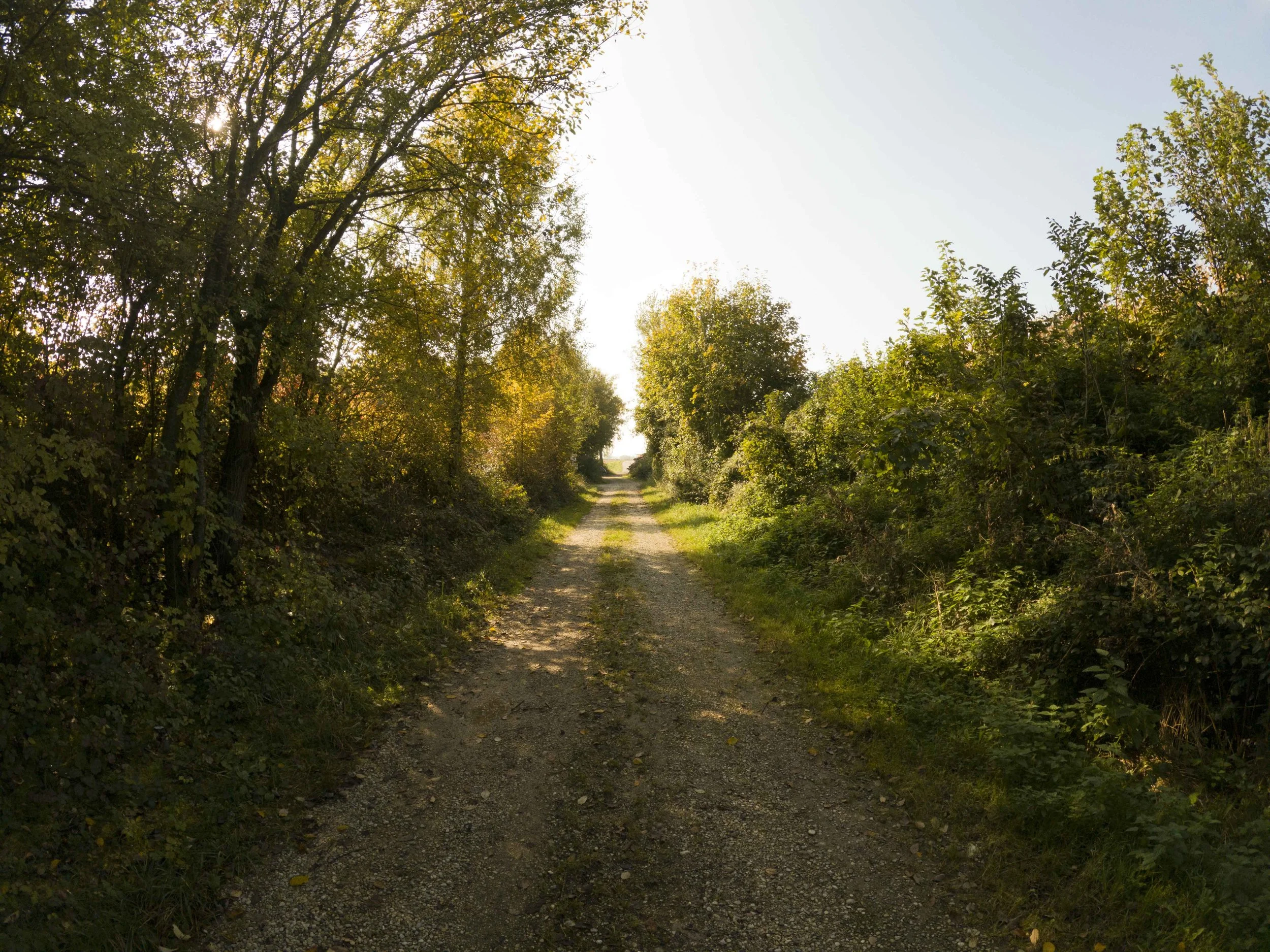 DAYLIGHT ORIGINAL.jpg