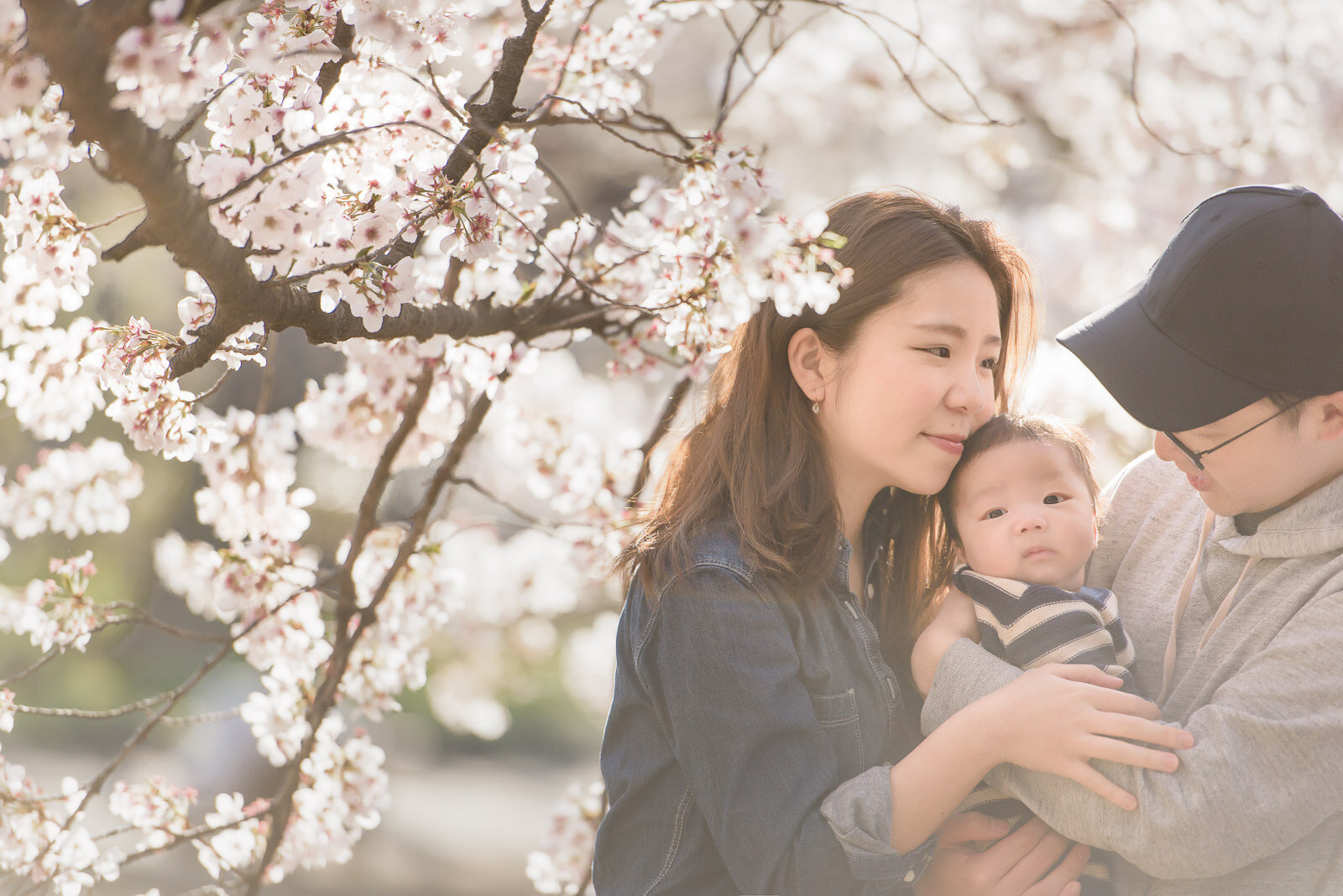 東京での桜の家族撮影