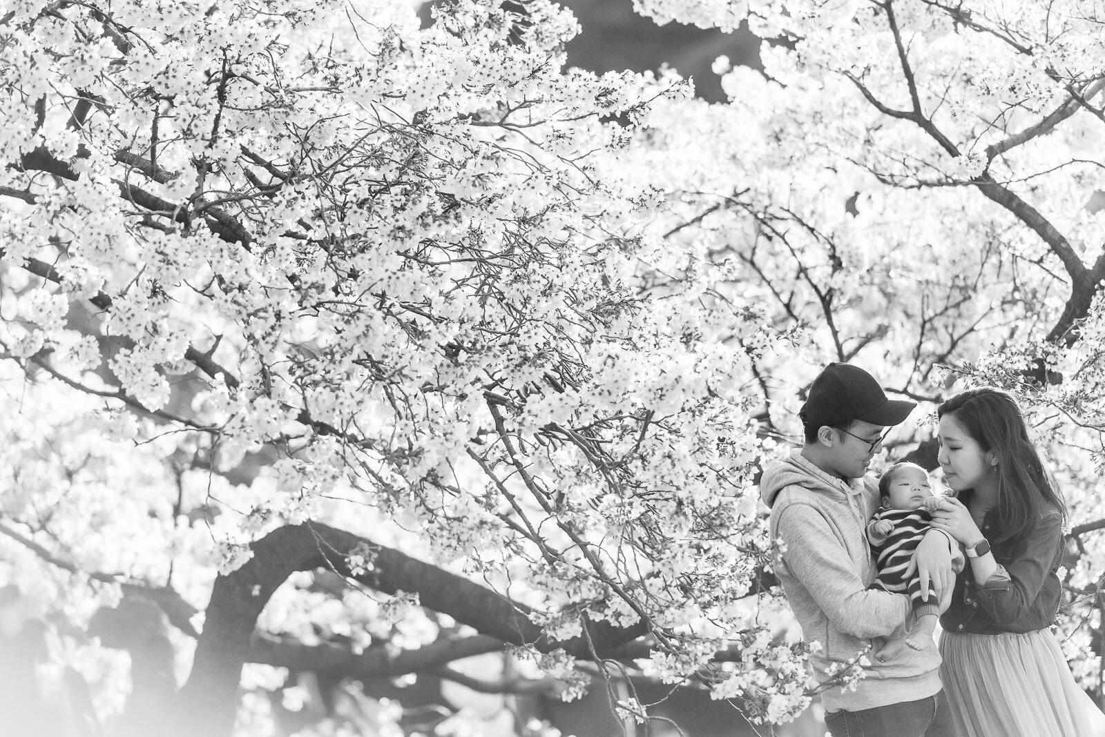東京での桜のファミリーフォト