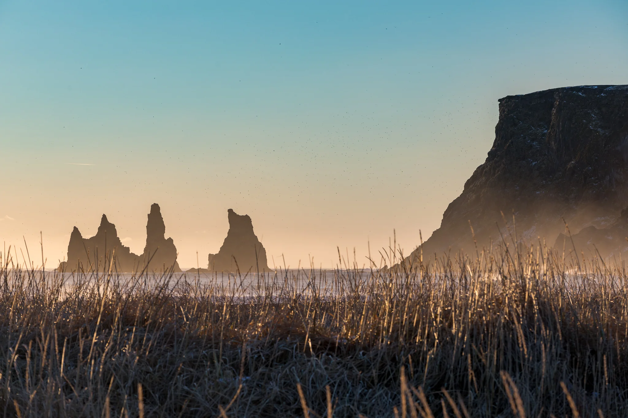 Reynisdrangar - Jeroen Van Nieuwenhove - 9.jpg
