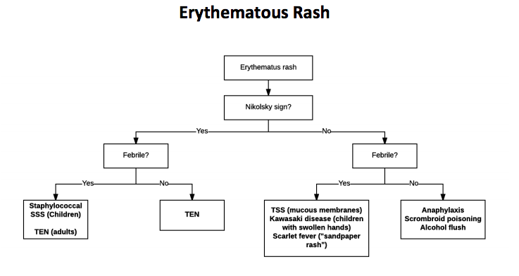 Don't be Rash about Deadly Rashes — Maimonides Emergency Medicine Residency