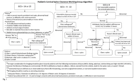 peds c spine clearance flowsheet.jpg