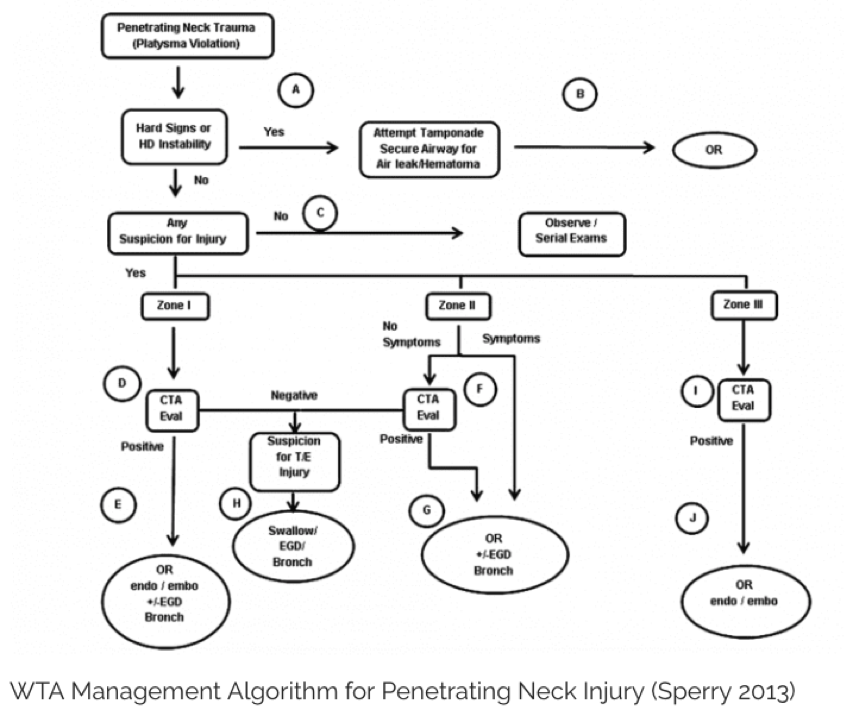 Neck Injury Protocol Penetrating Neck Injury — Maimonides Emergency Medicine Residency