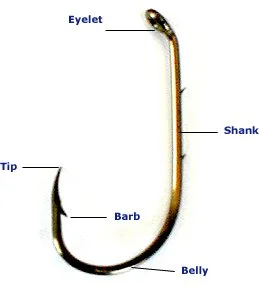 POTD: Fishhook Injury — Maimonides Emergency Medicine Residency