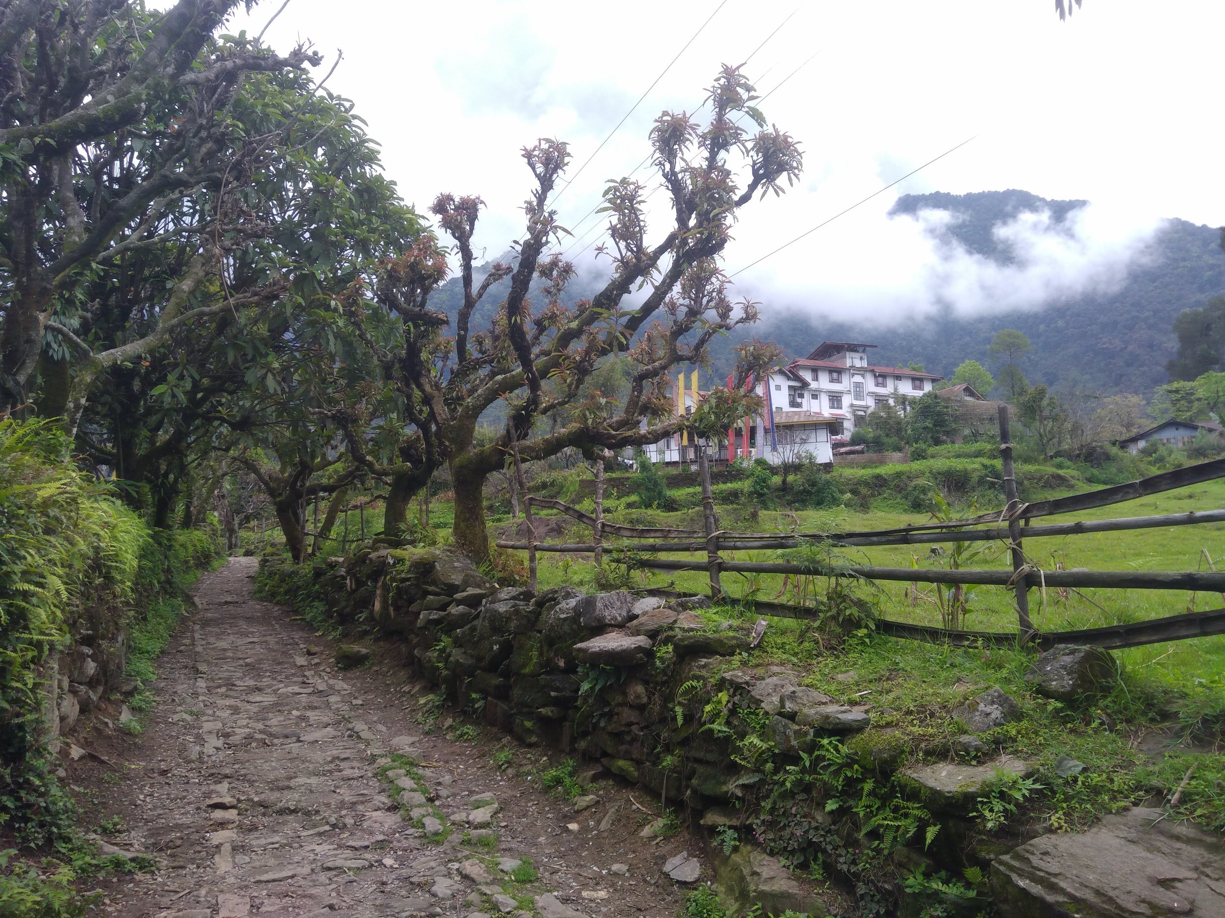 The historical town of Yuksom