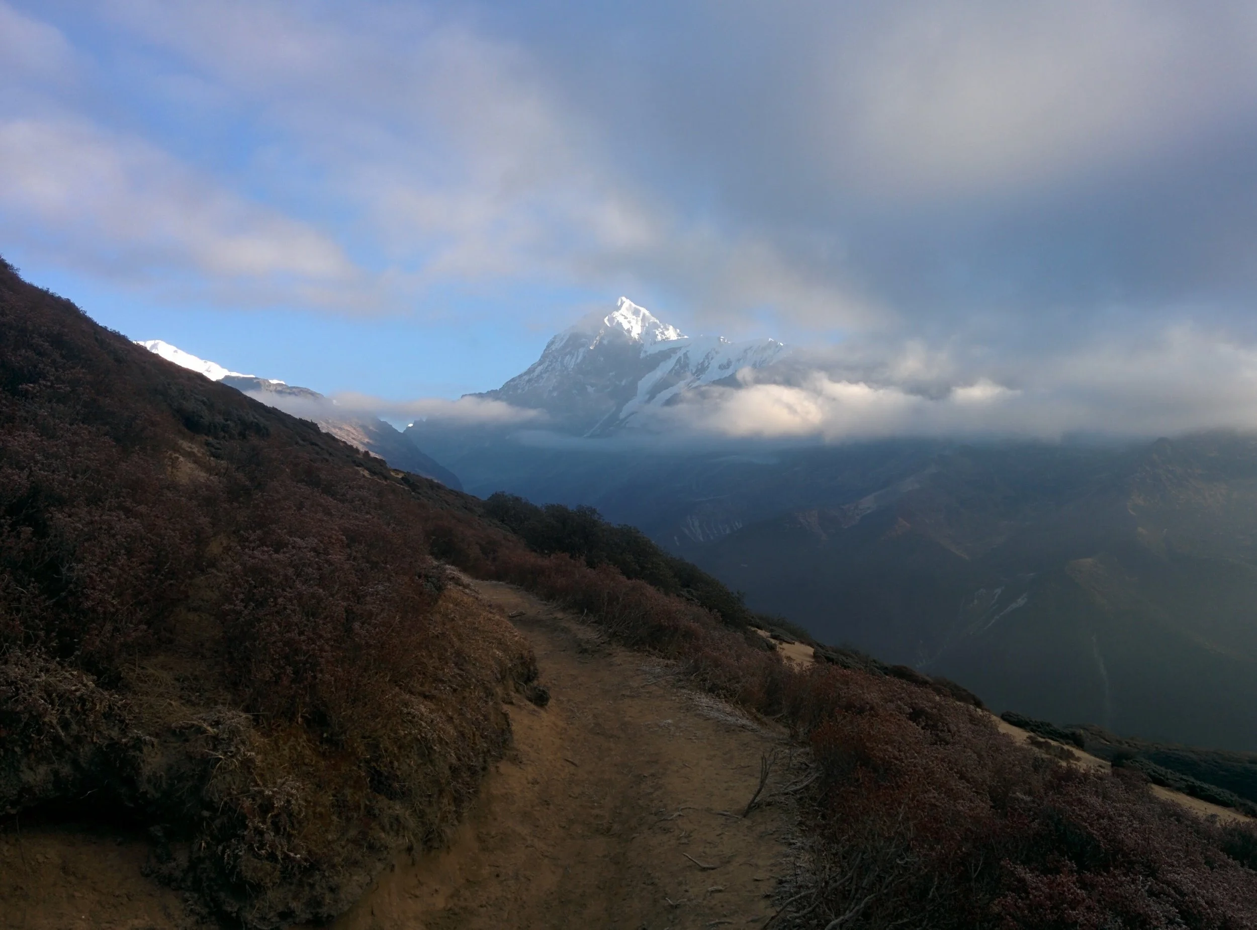 Mount Pandim (6691 mt) as seen on the trail to Thansing from Dzongri