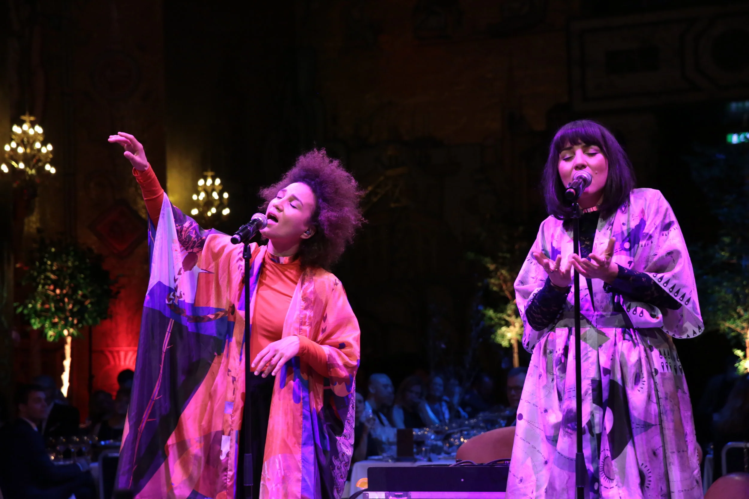 VAZ - Dinner entertainment 2.JPG