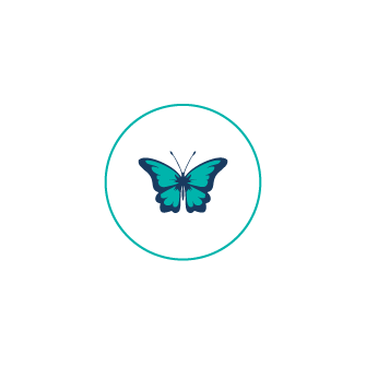 La sources-Elements-Site-12.png