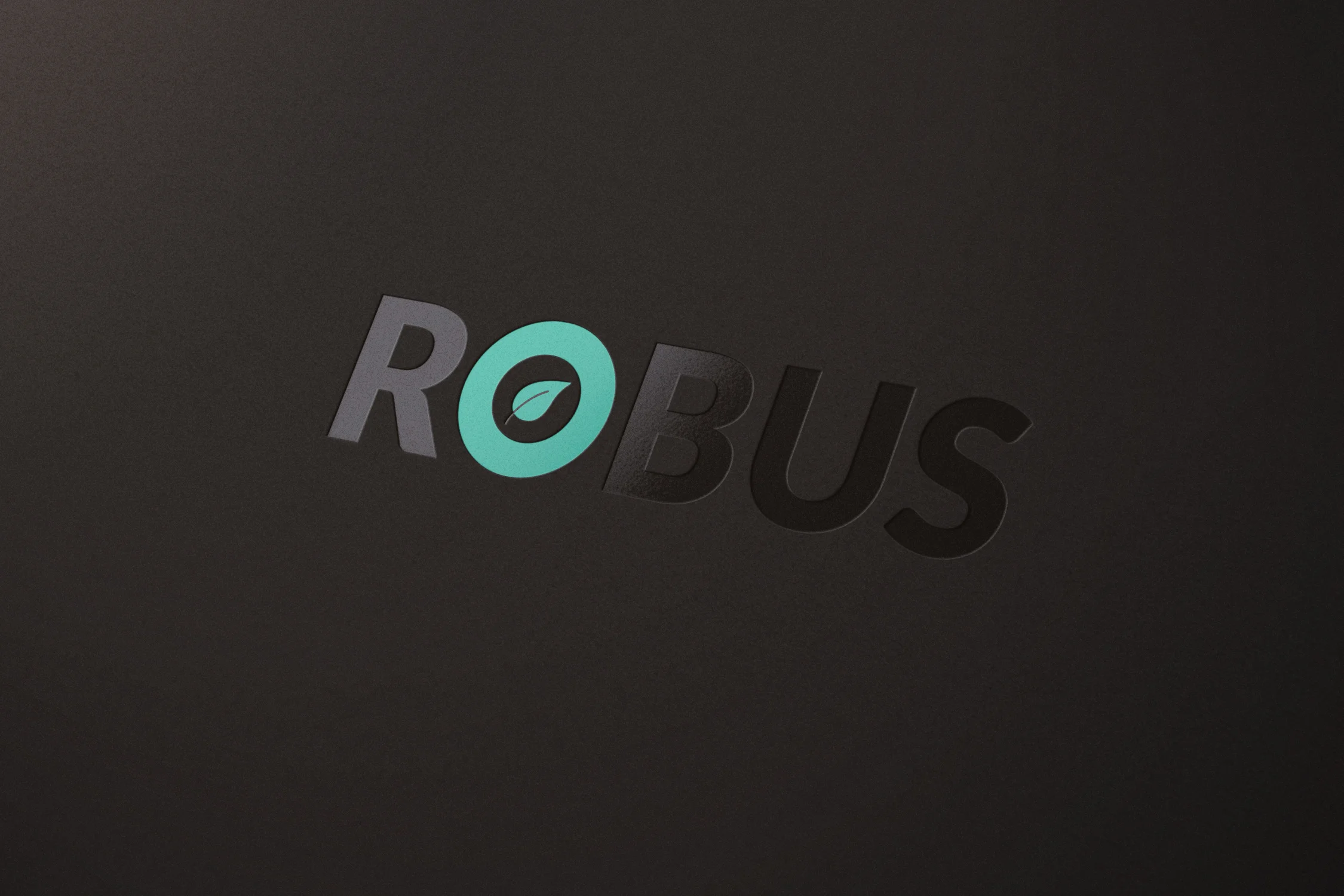 Robus Lato Logo.jpg