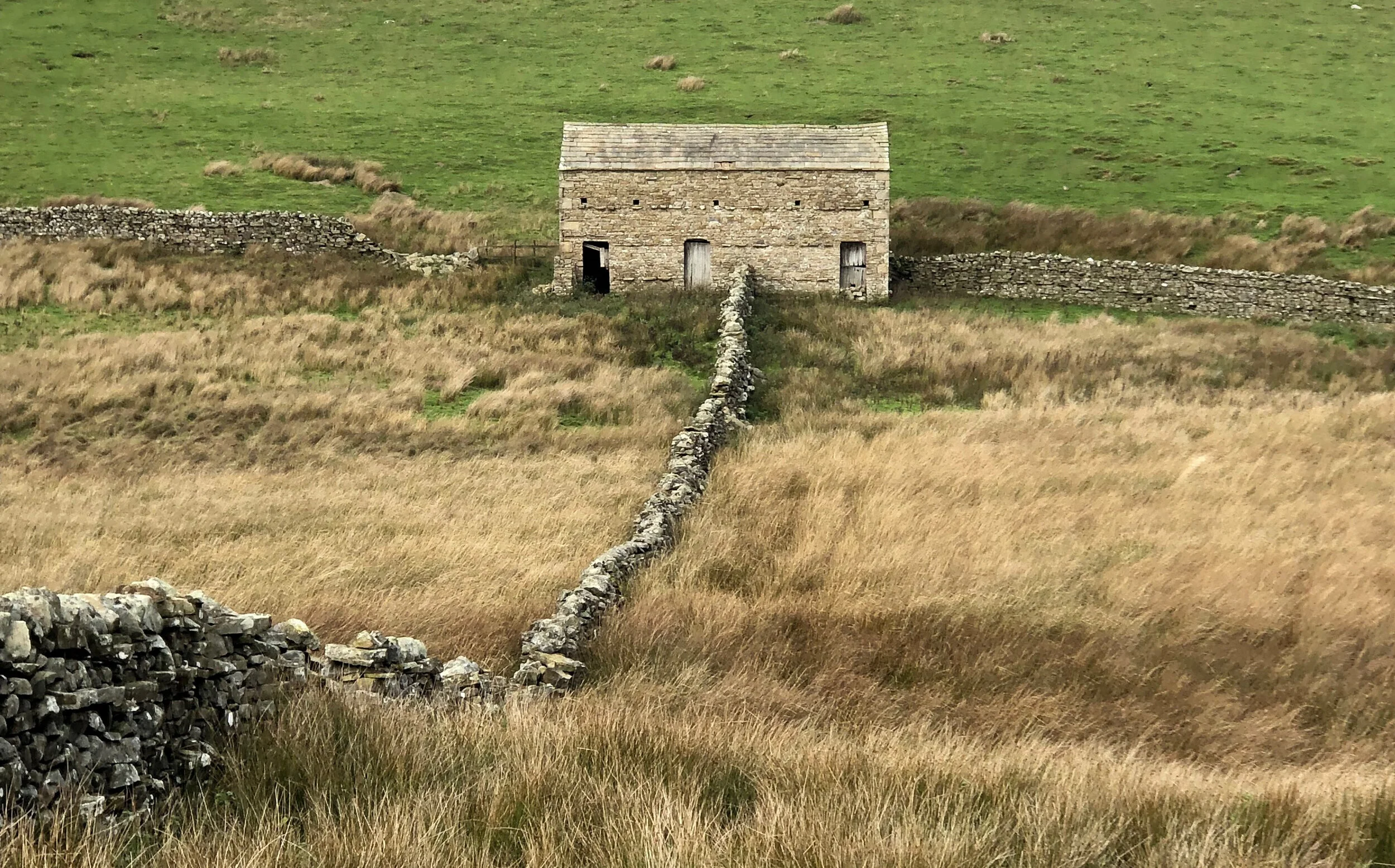 Rethinking Rural Architecture