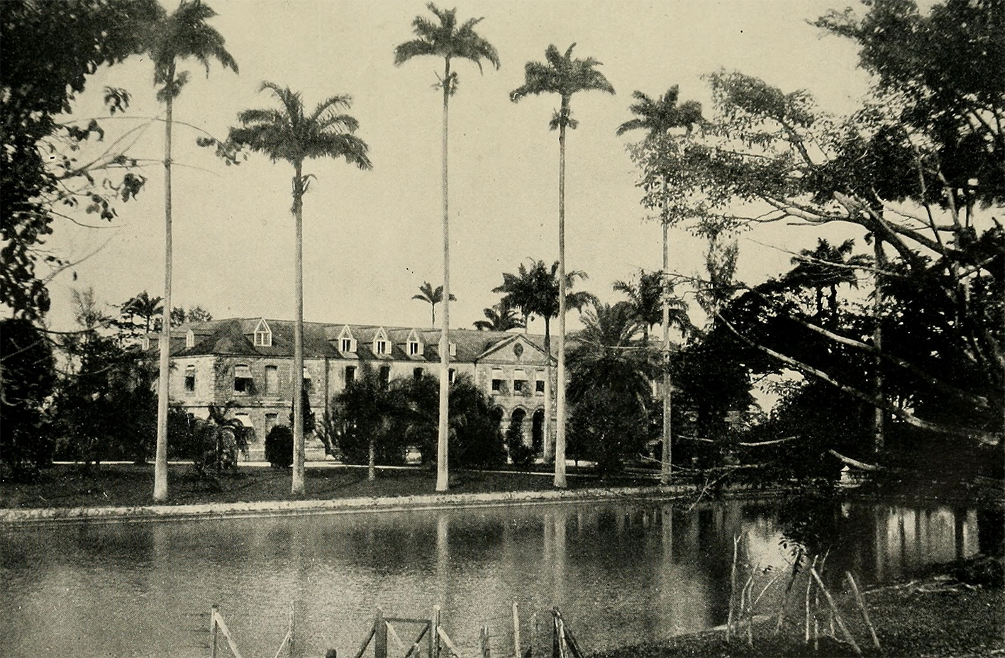 Codrington historic Photo.png