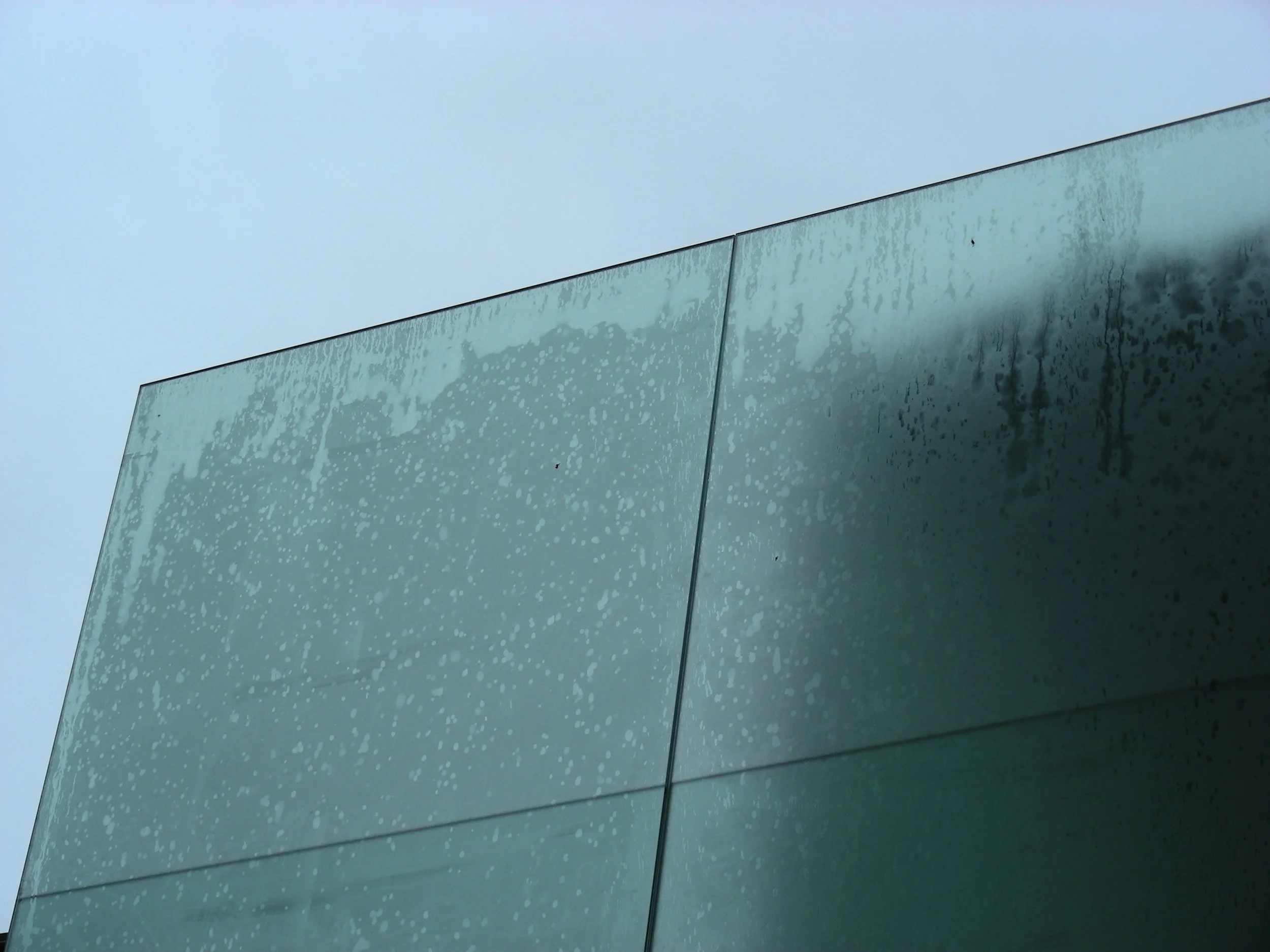 DSCN1551.JPG
