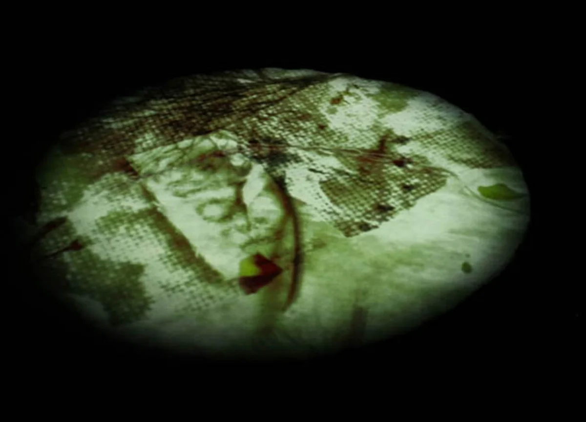   For Agatha : video installation 