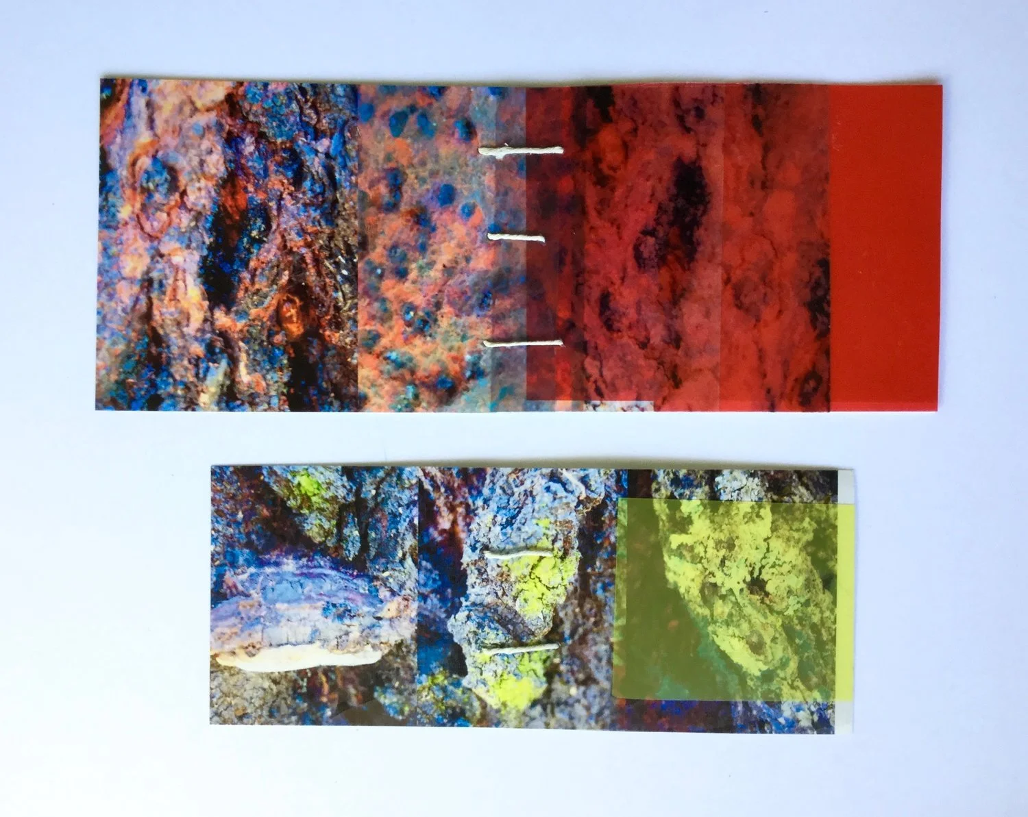   Ironwood  : collage - photo image, transparency film, cotton twine  