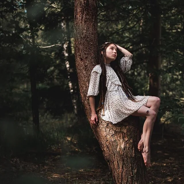 &ldquo;A forest of these trees is a spectacle too much for one man to see&rdquo; (David Douglas)