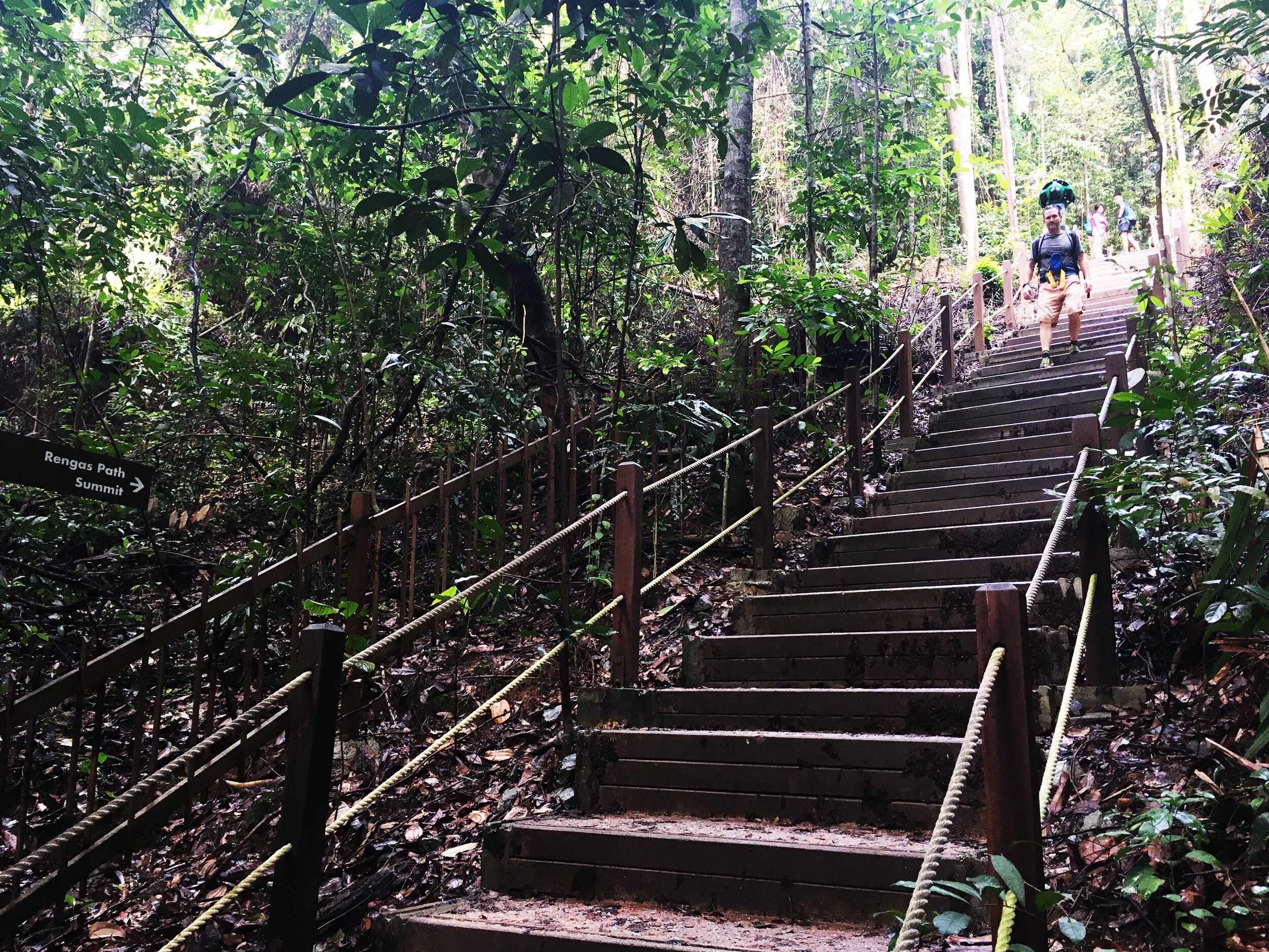 Forett Review Bukit Timah S Nature Inspired Freehold 50 Left Propertylimbrothers