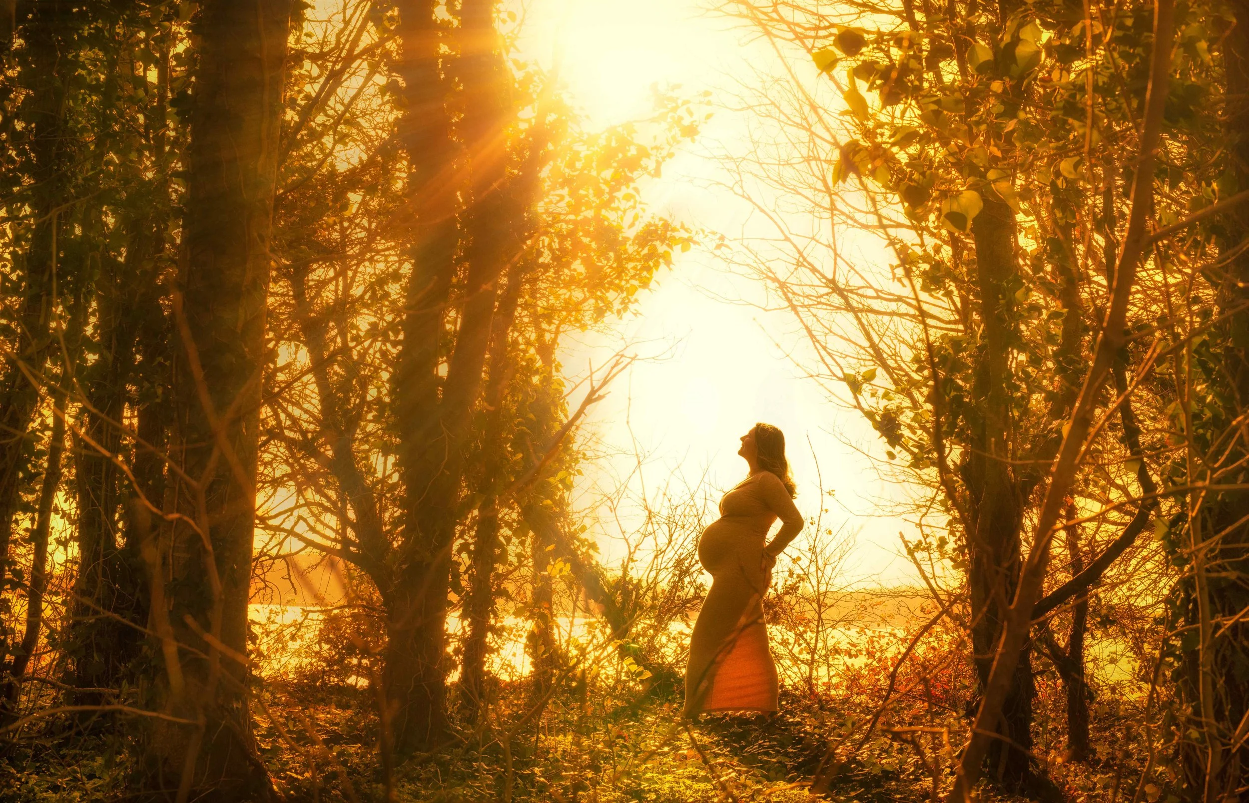 Maternity Photography