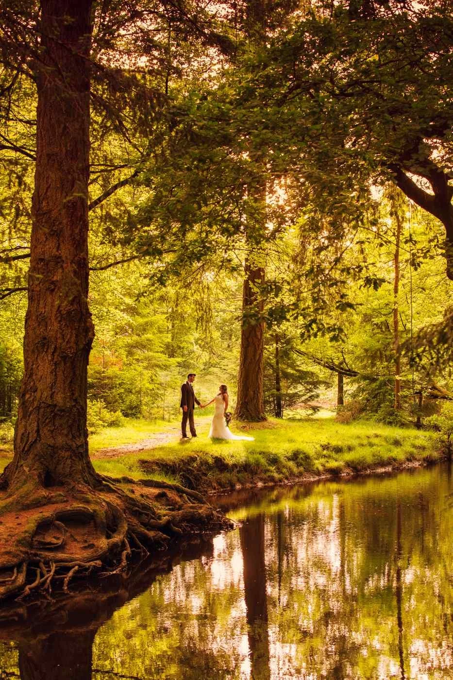 new forest wedding photography in the forest and trees