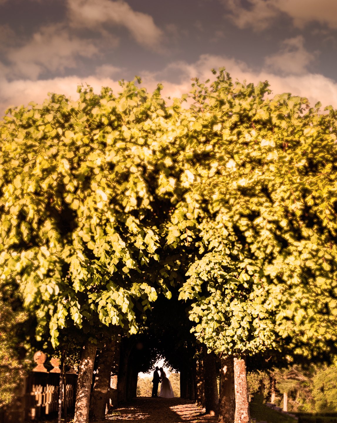 A&I-306-Edit.jpg