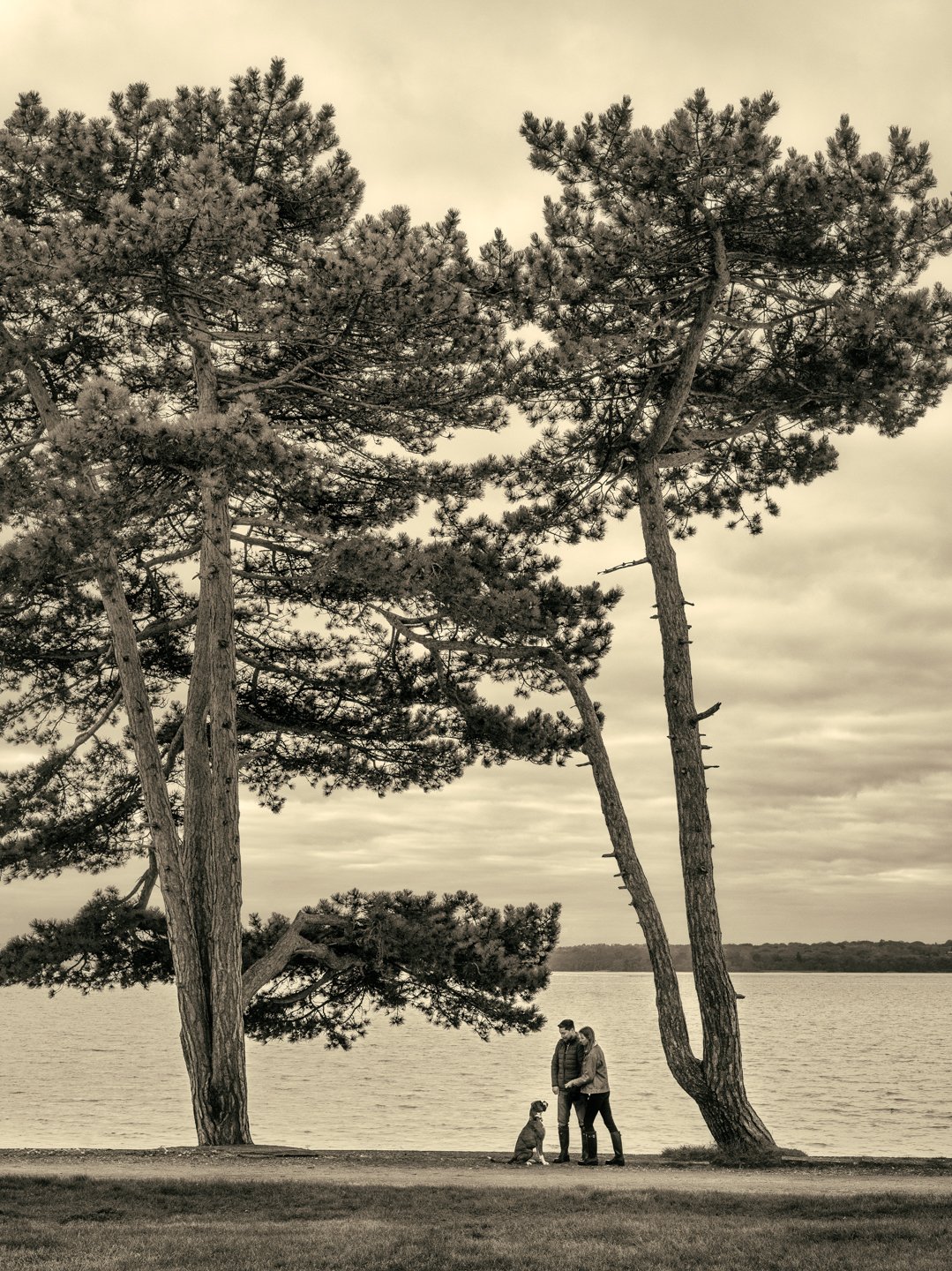 _MG_4835-Edit.jpg