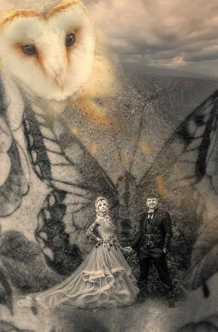 bride and groom in new forest in black and white