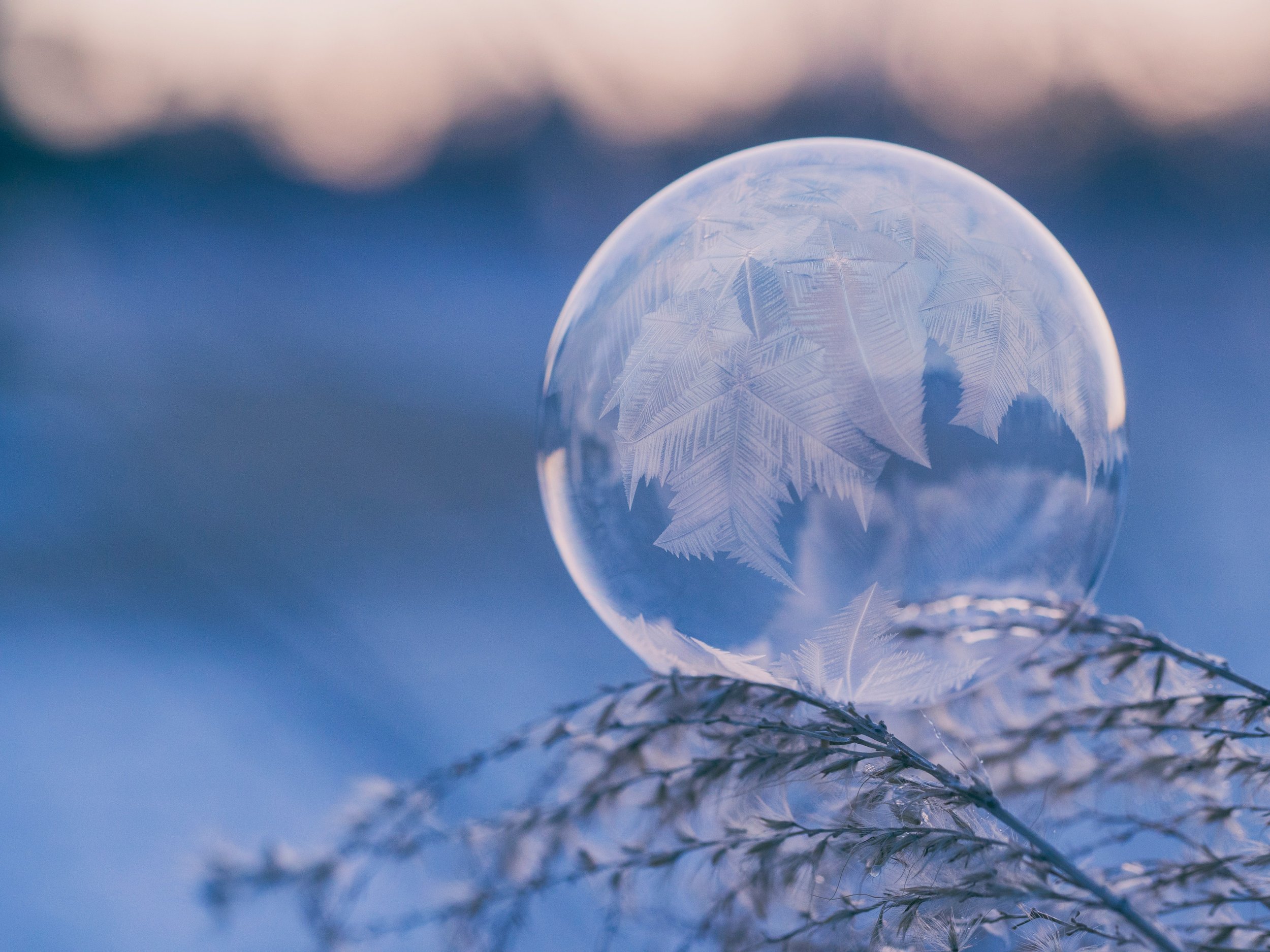 Winter solstice