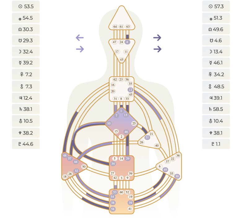 Human Design Package 1: Design & Embodiment
