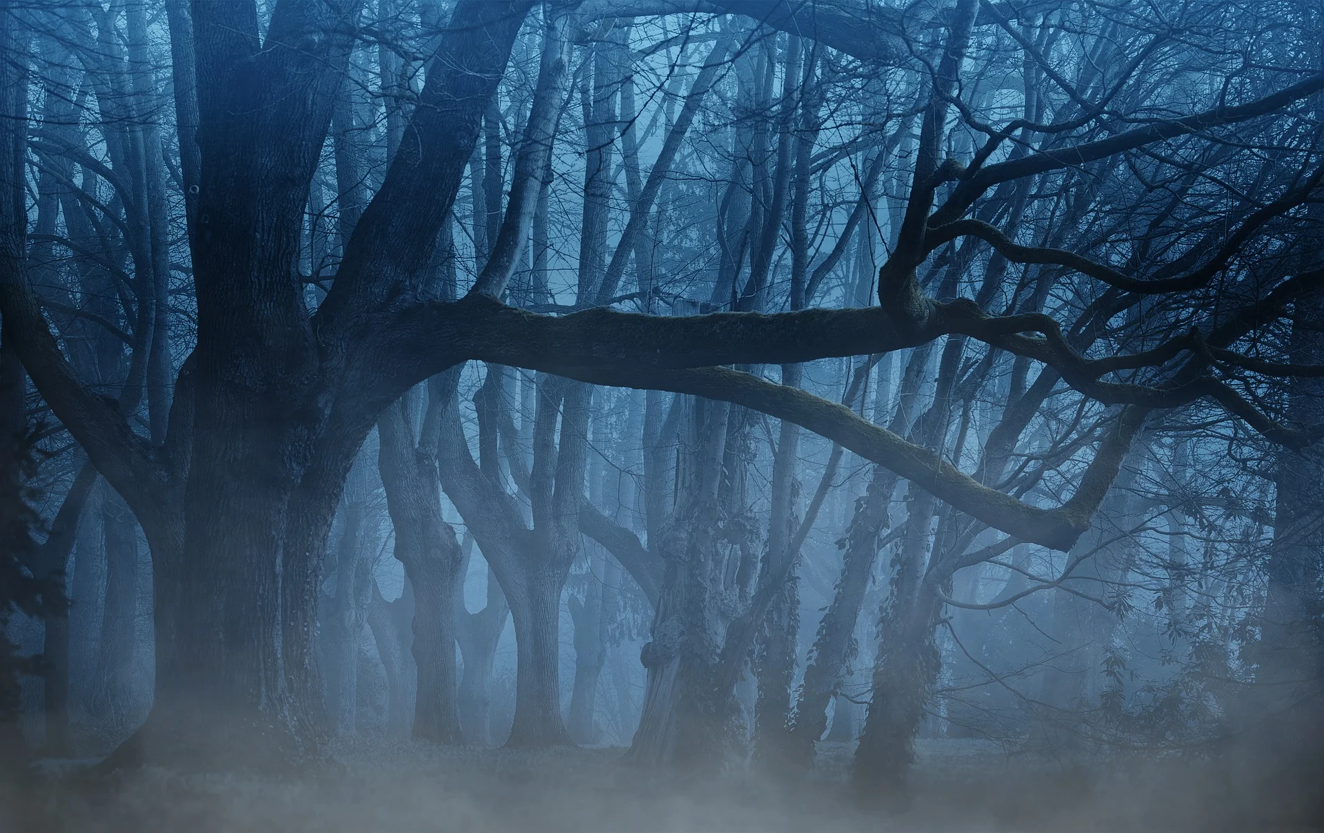 background-3394066_1920.jpg