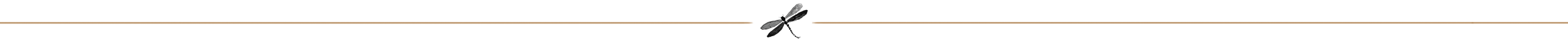 Dragonfly Black Line Brown 2500px 1px.png