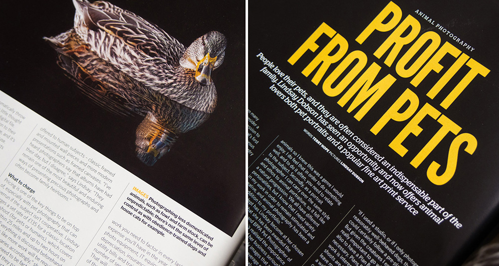 Fine Art Pet and Animal Photography West Sussex | Featured in Photo Professional Magazine