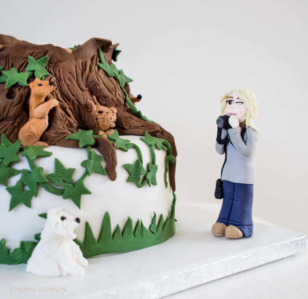 A Pet and Wildlife Photographer's Cake