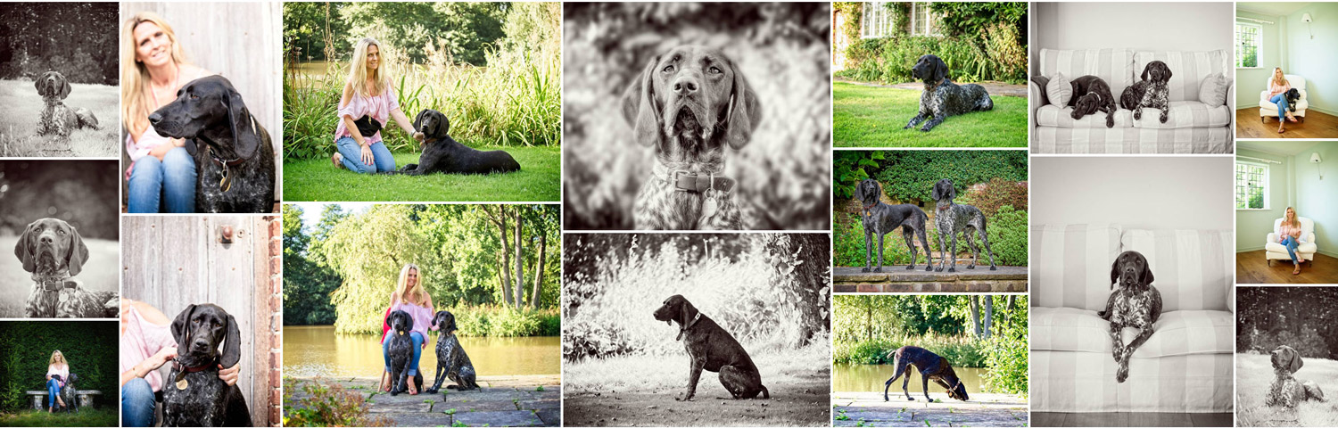 Pet Dog Photographer East Sussex