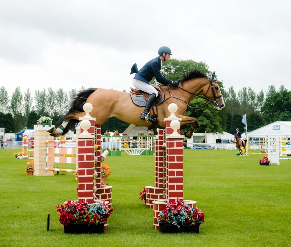 Equine Photographer West Sussex South of England Show 2017